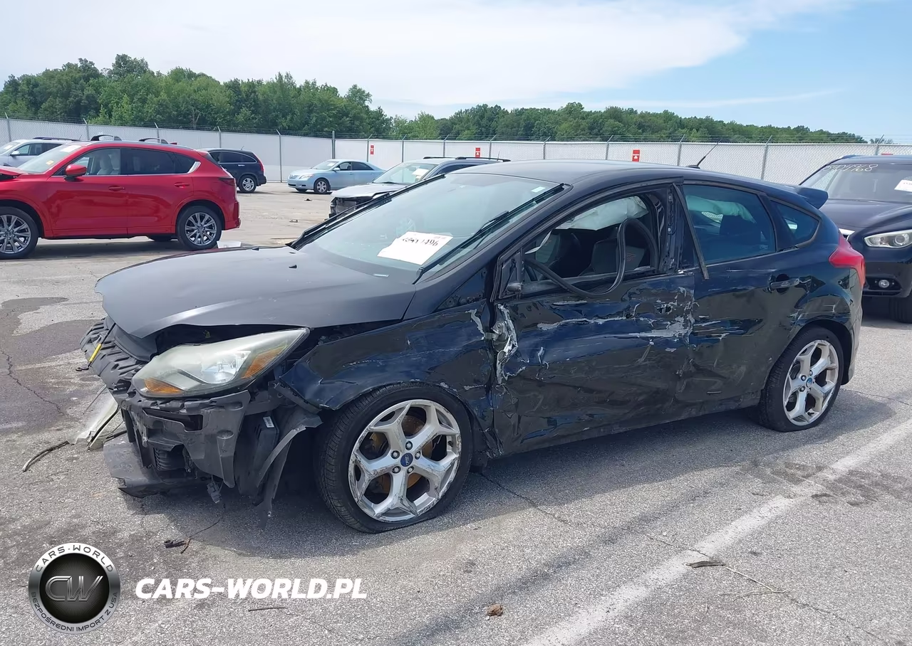 2013 Ford Focus St VIN:1FADP3L94DL185818 - 6