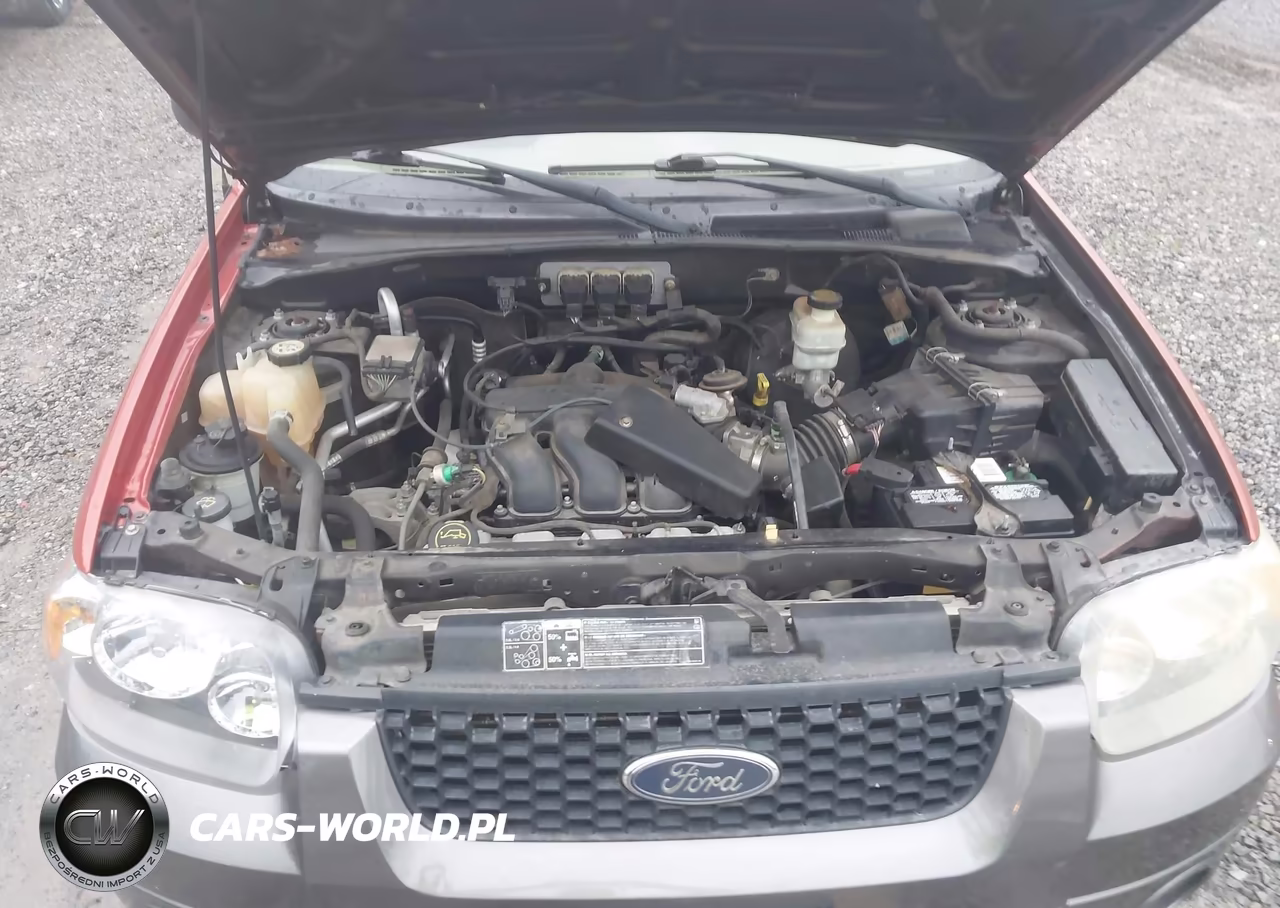 2006 Ford Escape Xlt-Xlt Sport VIN:1FMYU93106KA69358 - 10
