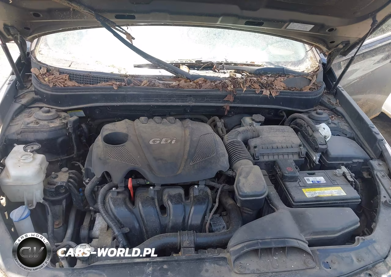 2013 Hyundai Sonata Gls VIN:5NPEB4AC5DH760420 - 10