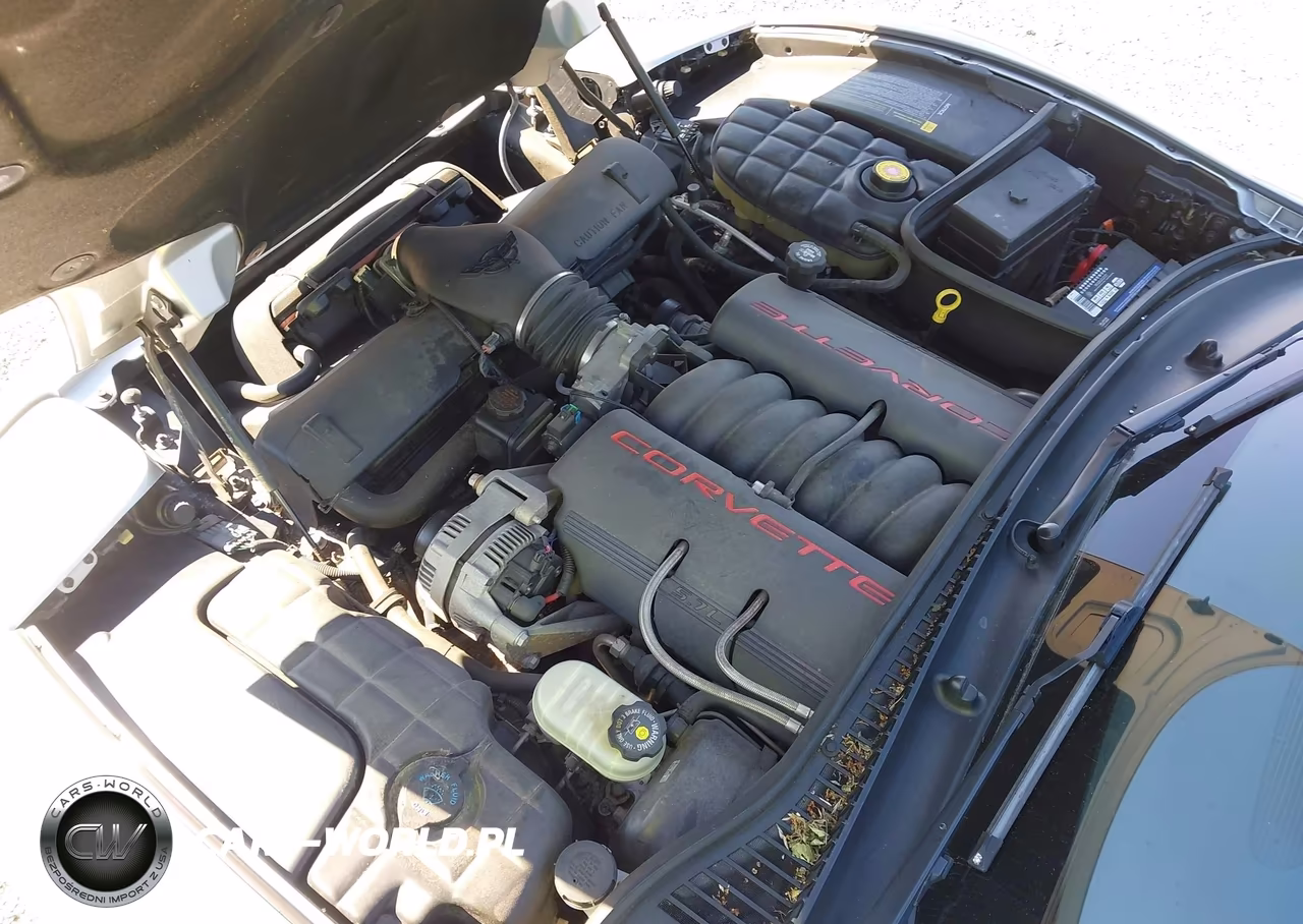 1997 Chevrolet Corvette VIN:1G1YY22GXV5109117 - 10