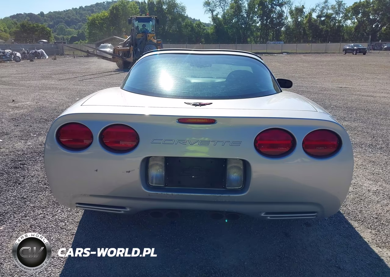 1997 Chevrolet Corvette VIN:1G1YY22GXV5109117 - 17