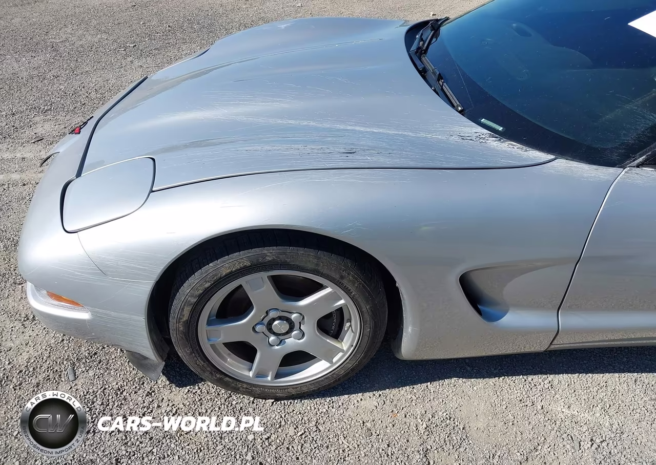 1997 Chevrolet Corvette VIN:1G1YY22GXV5109117 - 19