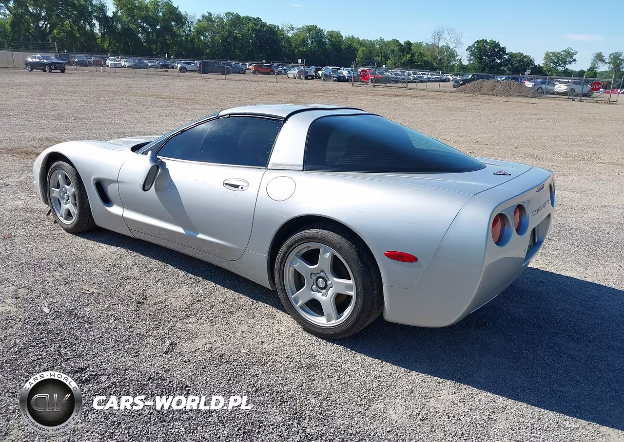 1997 Chevrolet Corvette VIN:1G1YY22GXV5109117 - 3