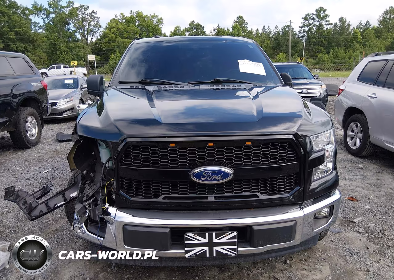 2017 Ford F-150 Xlt VIN:1FTEW1CP8HFC55863 - 12