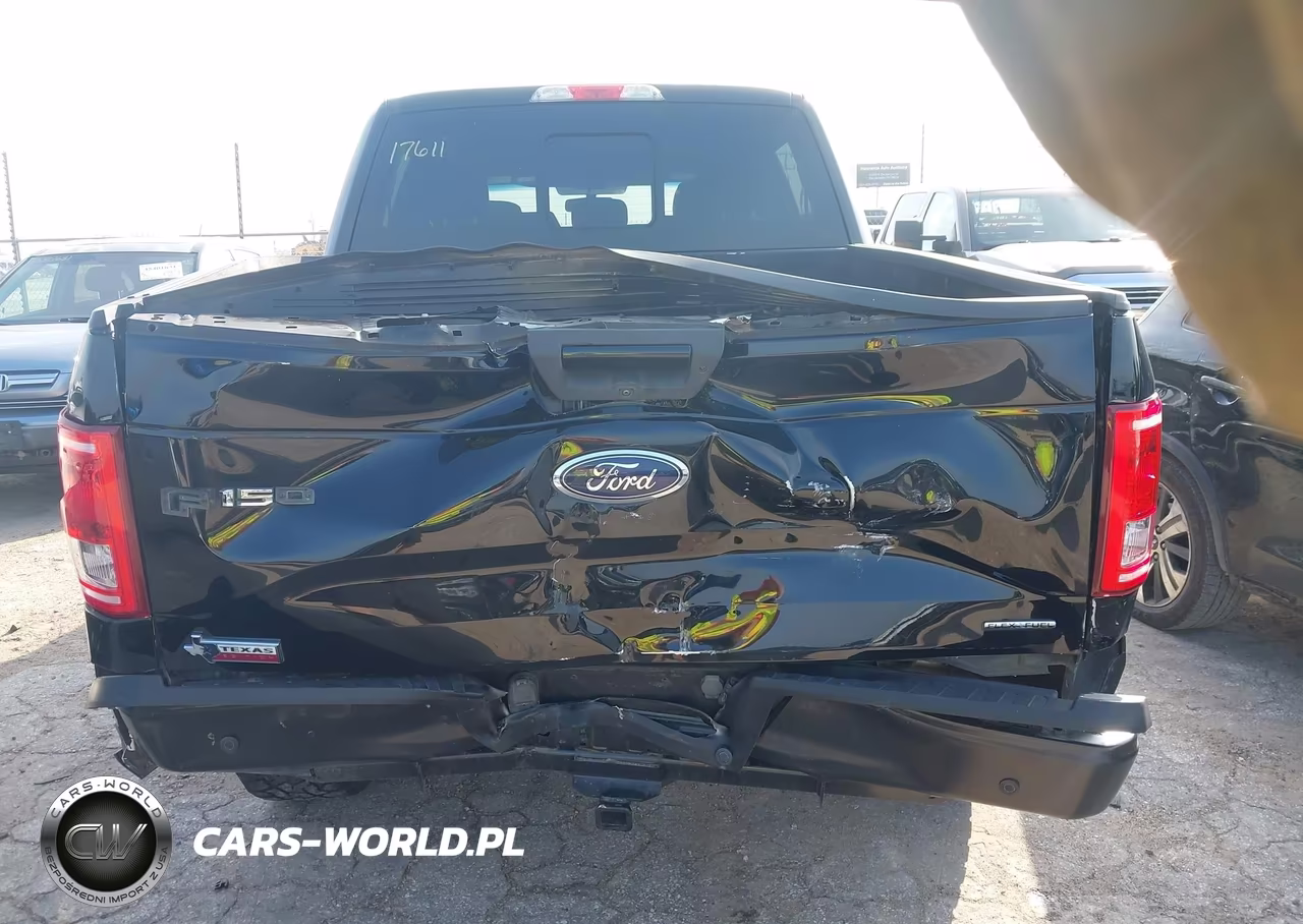 2016 Ford F-150 Xlt VIN:1FTEW1EF4GKD43240 - 16