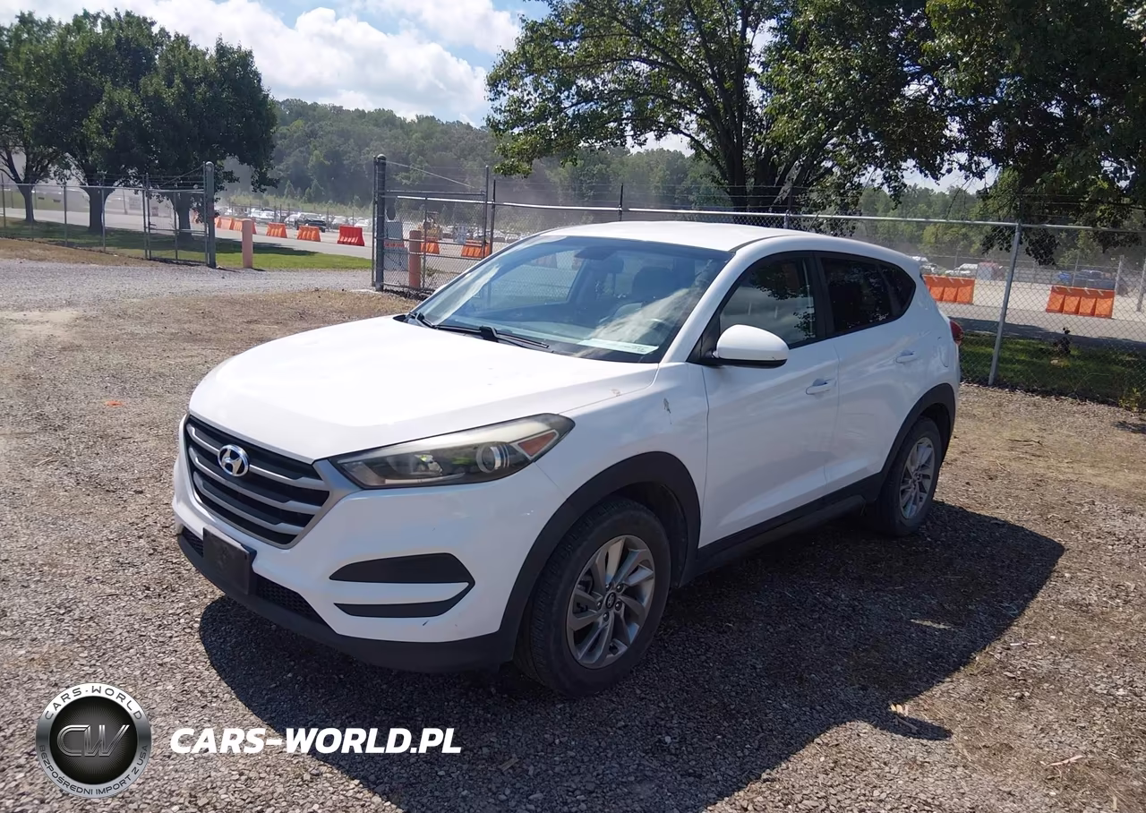 2018 Hyundai Tucson Se VIN:KM8J23A43JU659956 - 2