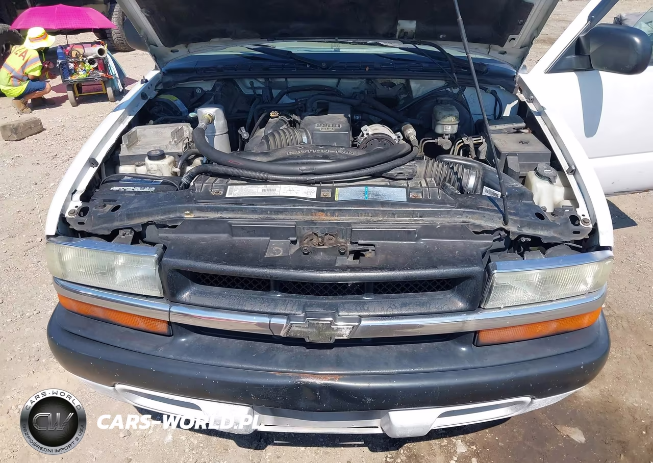2002 Chevrolet S-10 VIN:1GCCS145228174319 - 10
