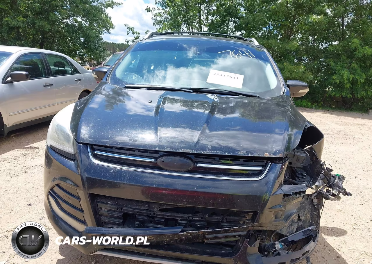 2014 Ford Escape Titanium VIN:1FMCU9JX4EUA54138 - 12