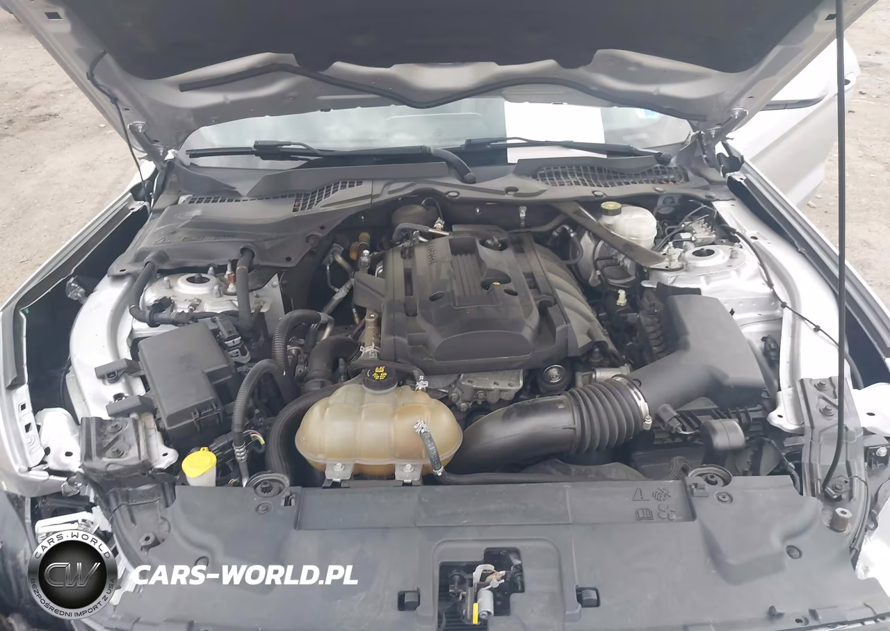 2019 Ford Mustang Ecoboost-Ecoboost Premium VIN:1FATP8UH2K5138805 - 10