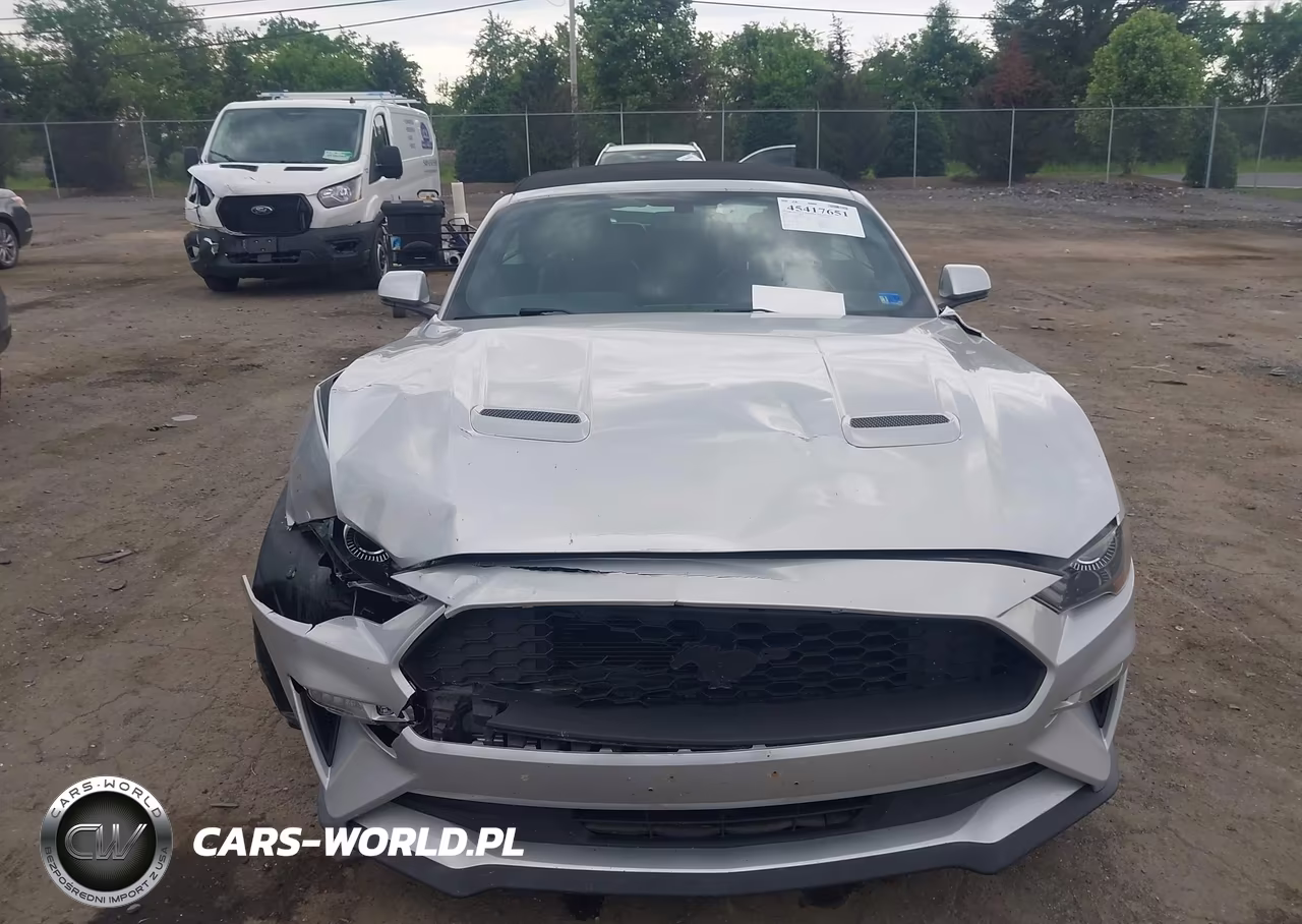 2019 Ford Mustang Ecoboost-Ecoboost Premium VIN:1FATP8UH2K5138805 - 12