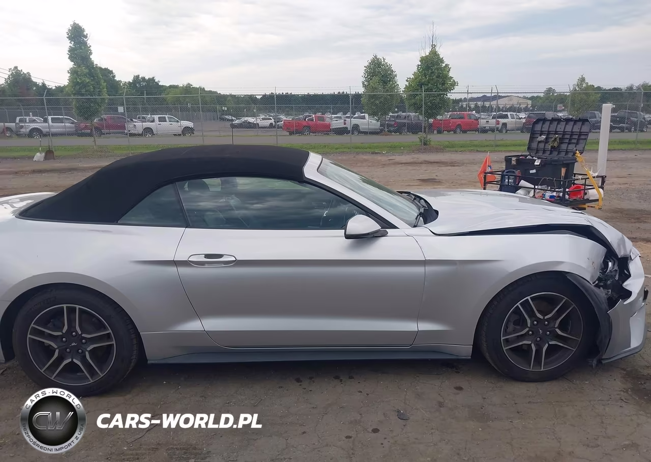 2019 Ford Mustang Ecoboost-Ecoboost Premium VIN:1FATP8UH2K5138805 - 13