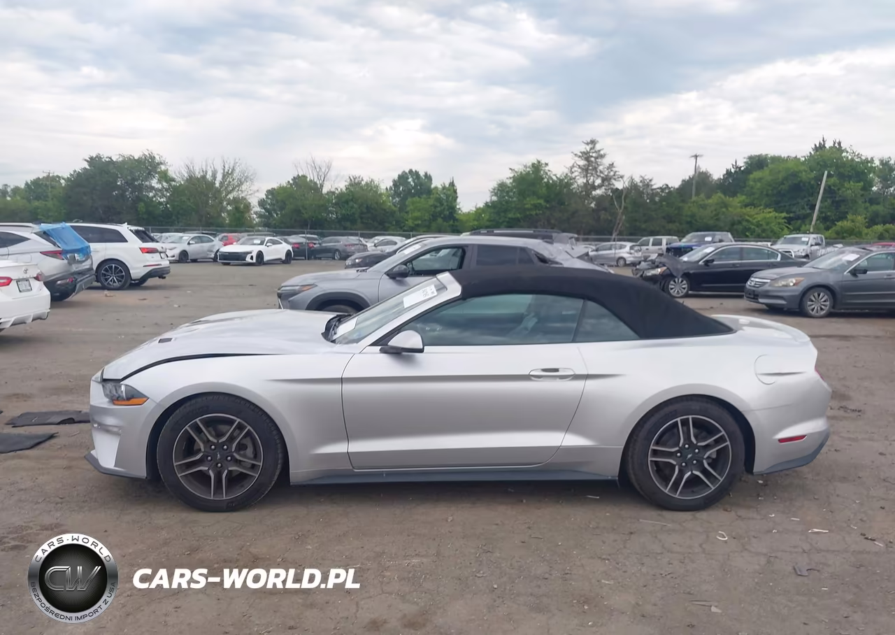 2019 Ford Mustang Ecoboost-Ecoboost Premium VIN:1FATP8UH2K5138805 - 14