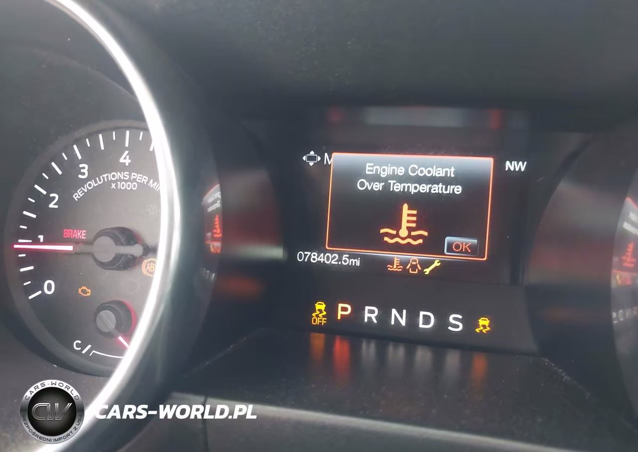 2019 Ford Mustang Ecoboost-Ecoboost Premium VIN:1FATP8UH2K5138805 - 15