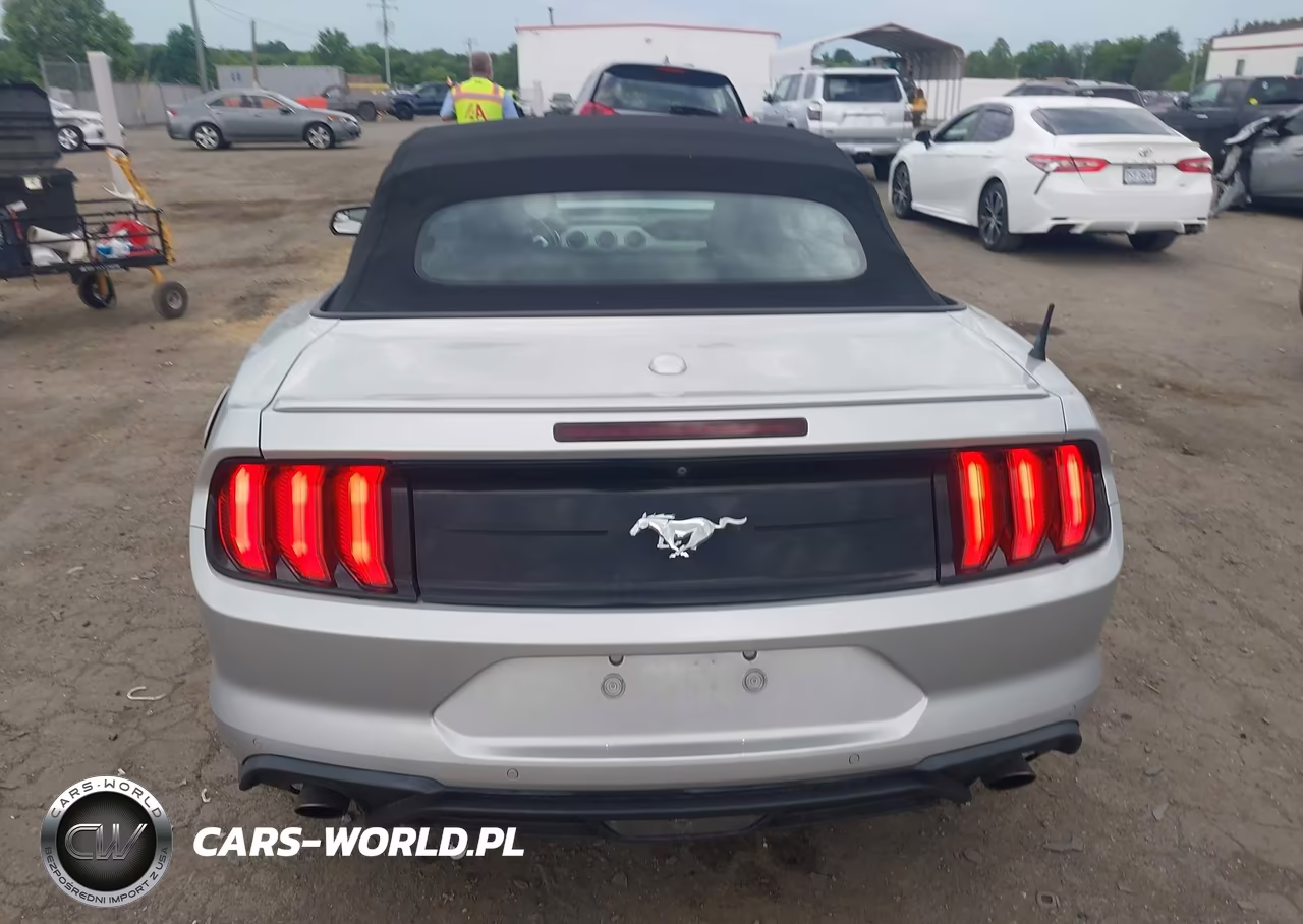 2019 Ford Mustang Ecoboost-Ecoboost Premium VIN:1FATP8UH2K5138805 - 16