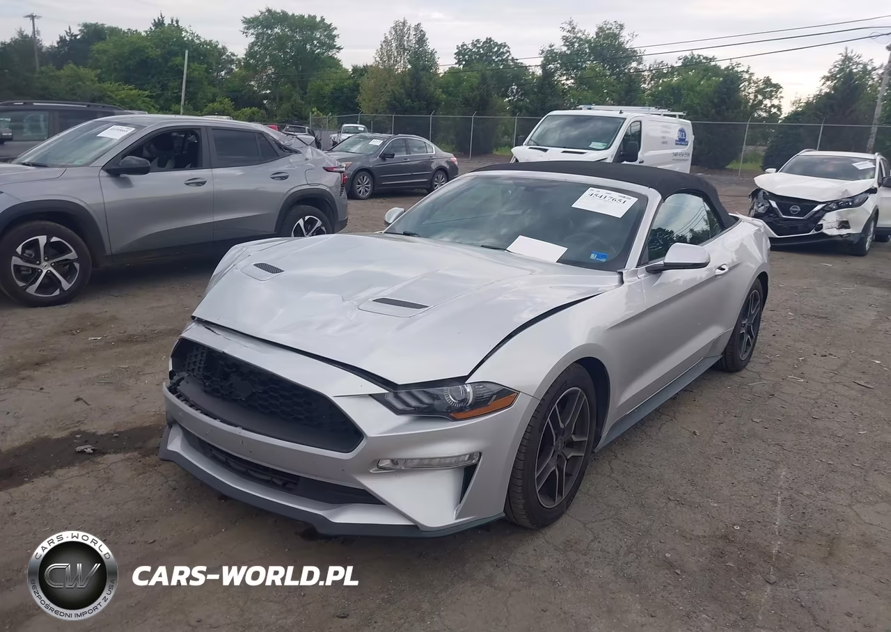 2019 Ford Mustang Ecoboost-Ecoboost Premium VIN:1FATP8UH2K5138805 - 2