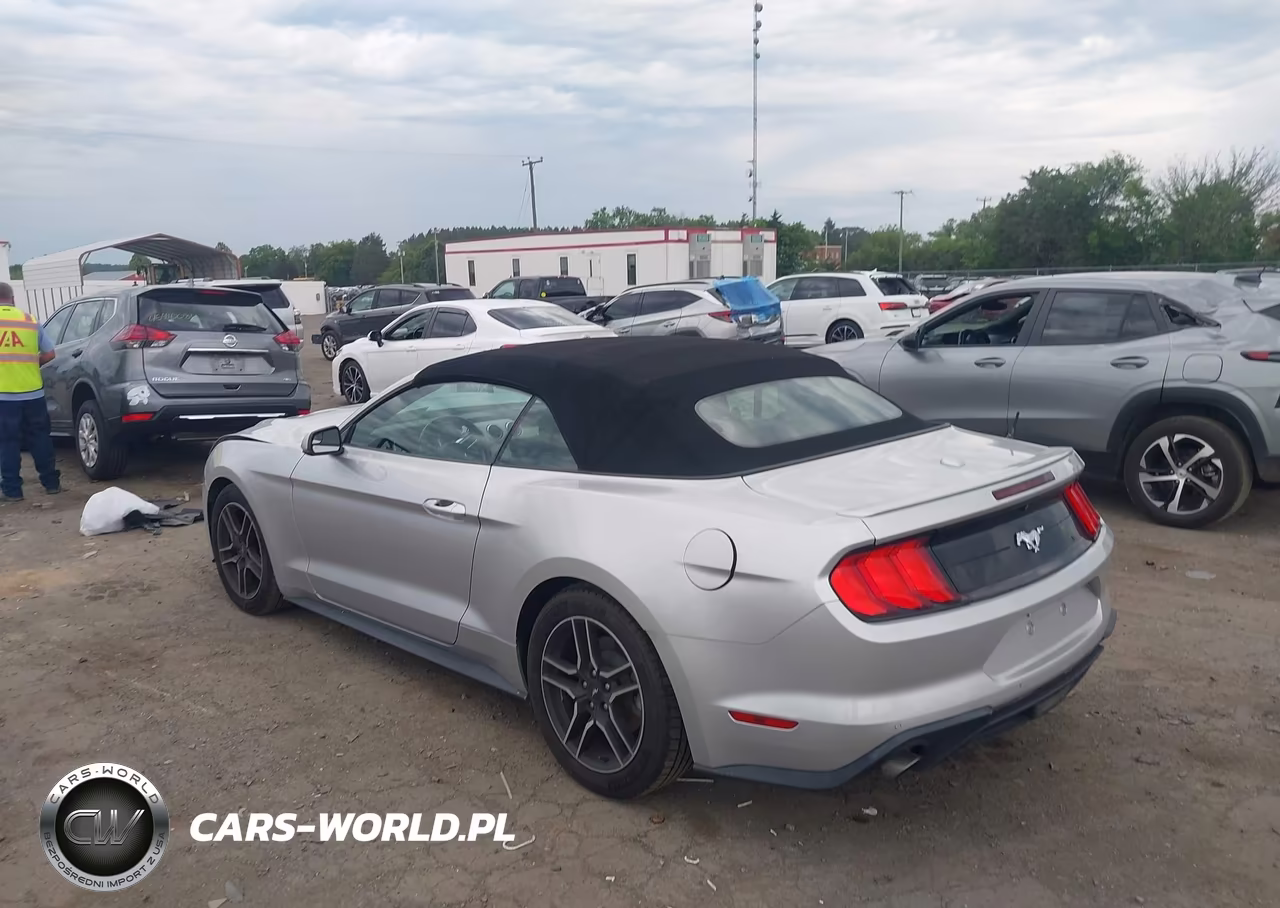 2019 Ford Mustang Ecoboost-Ecoboost Premium VIN:1FATP8UH2K5138805 - 3