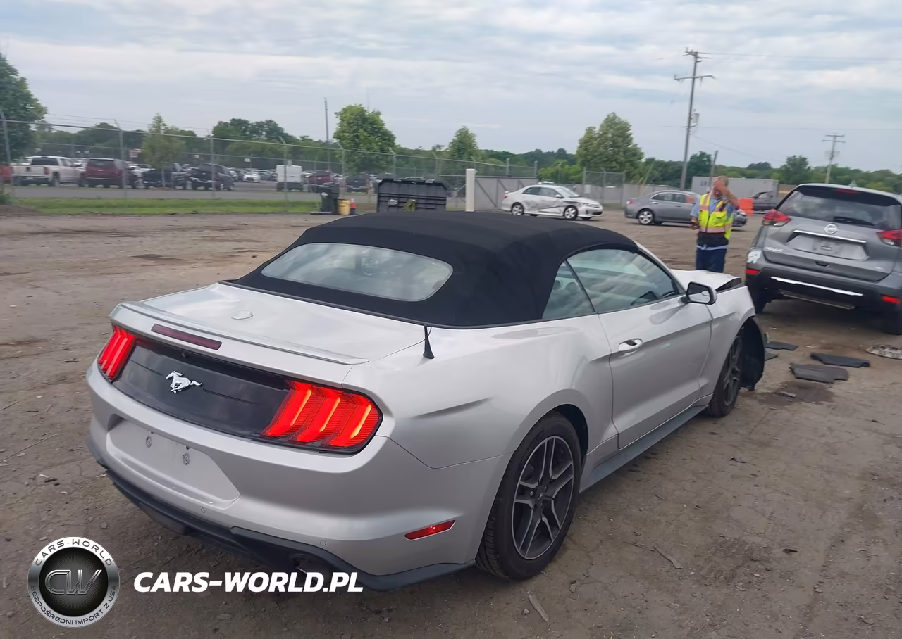 2019 Ford Mustang Ecoboost-Ecoboost Premium VIN:1FATP8UH2K5138805 - 4