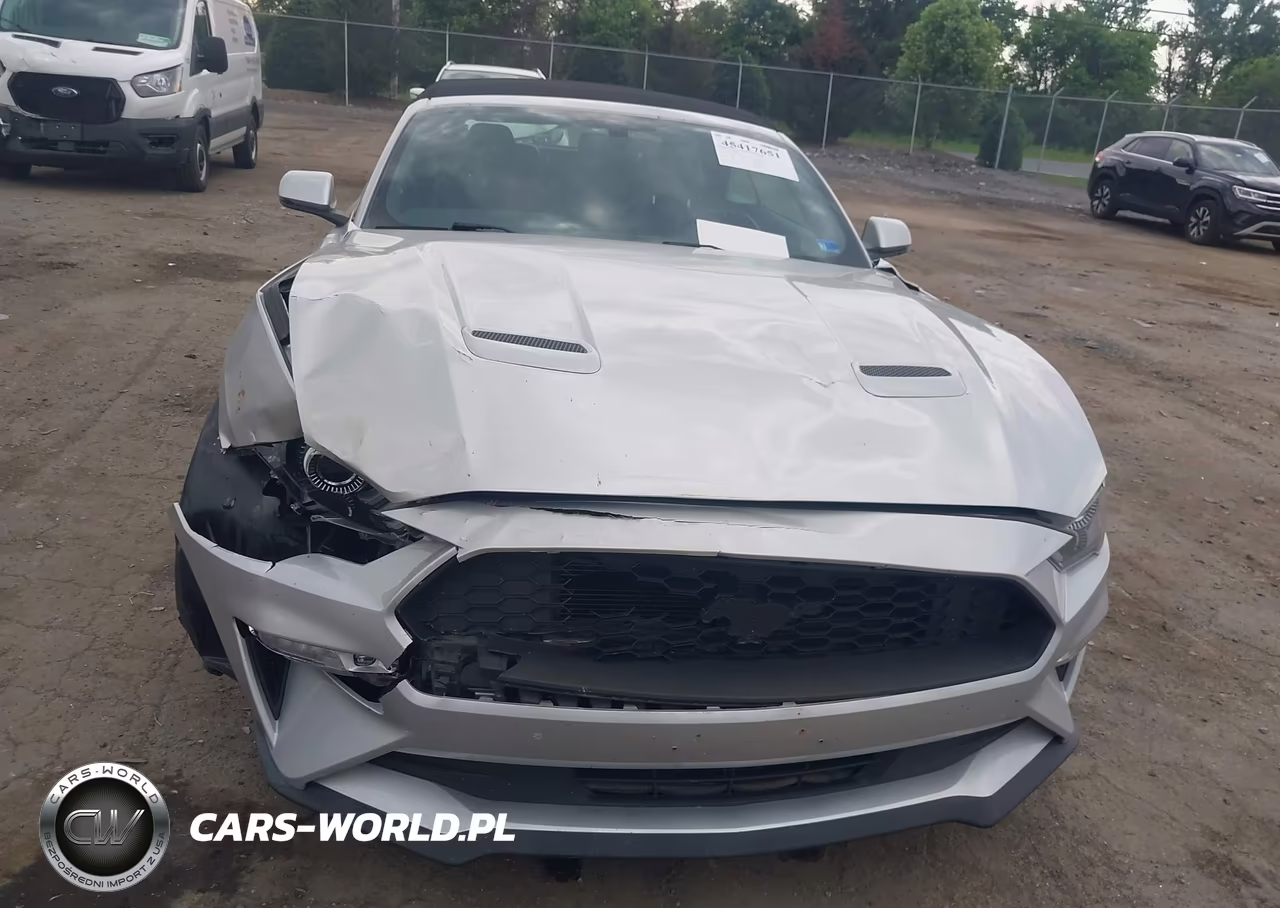 2019 Ford Mustang Ecoboost-Ecoboost Premium VIN:1FATP8UH2K5138805 - 6