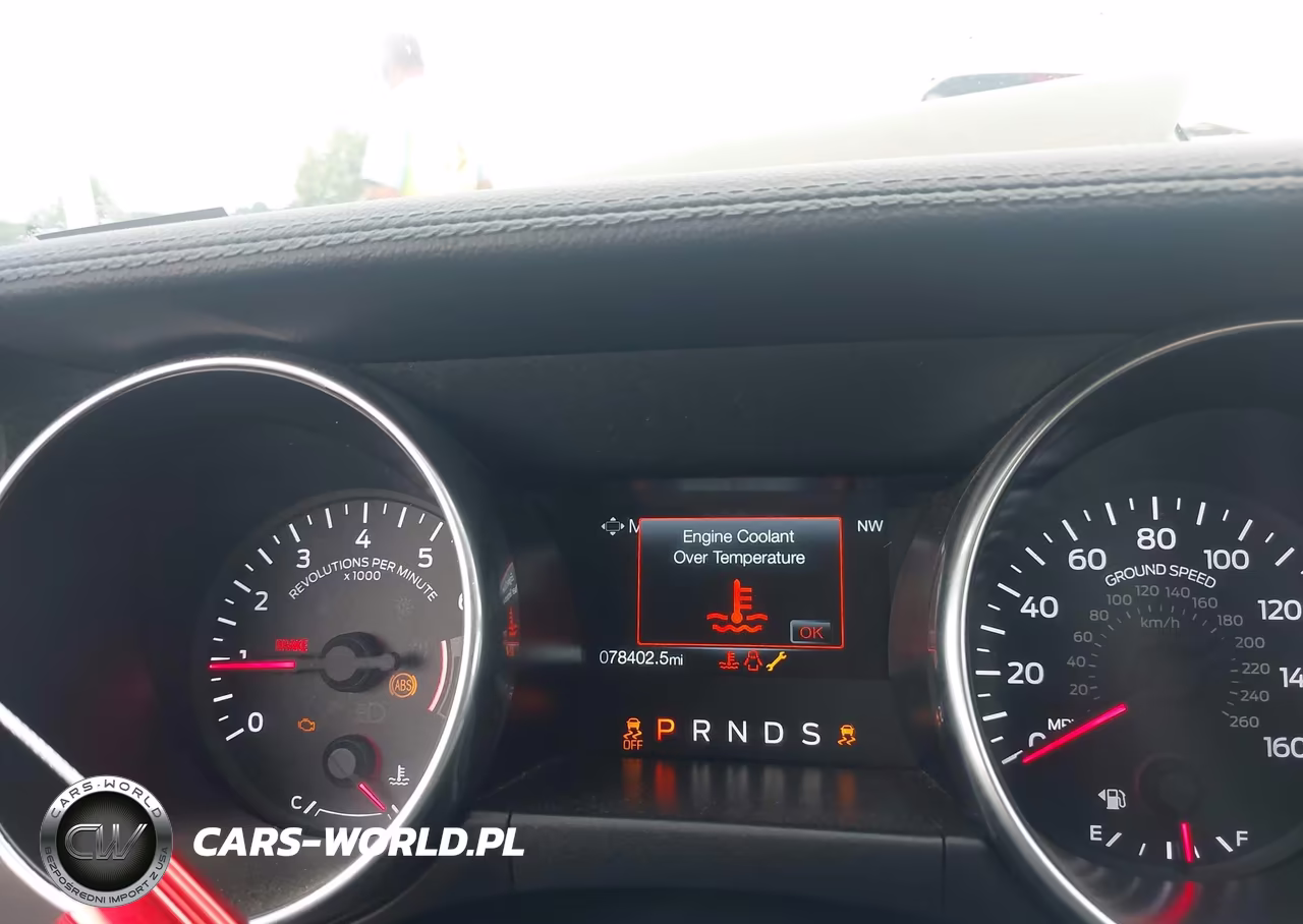 2019 Ford Mustang Ecoboost-Ecoboost Premium VIN:1FATP8UH2K5138805 - 7