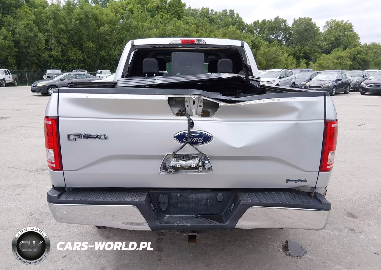 2016 Ford F-150 King Ranch-Lariat-Limited-Platinum-Xl-Xlt VIN:1FTEW1EG1GKF67770 - 17