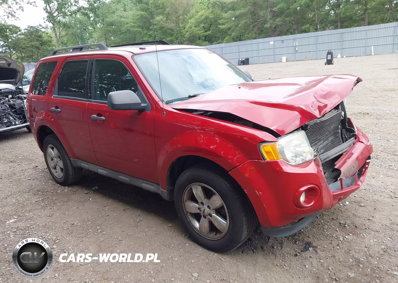 2010 Ford Escape Xlt