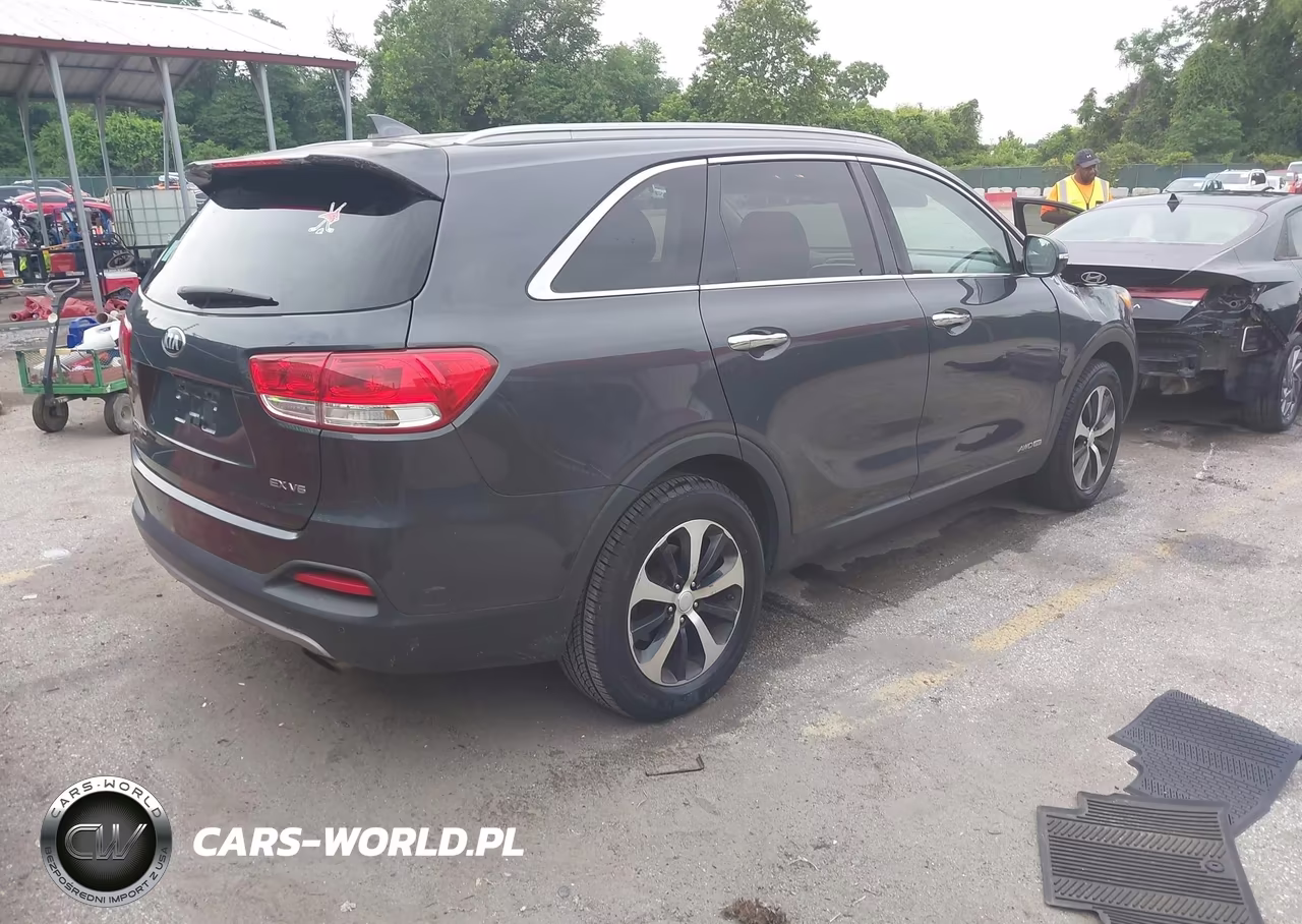 2016 Kia Sorento 3.3L Ex VIN:5XYPHDA56GG001845 - 4