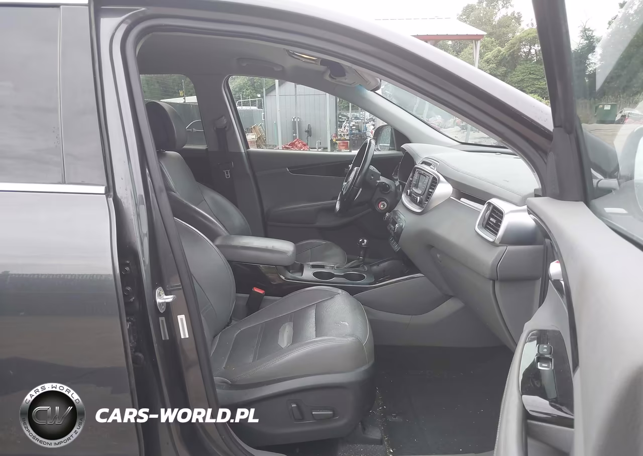 2016 Kia Sorento 3.3L Ex VIN:5XYPHDA56GG001845 - 5
