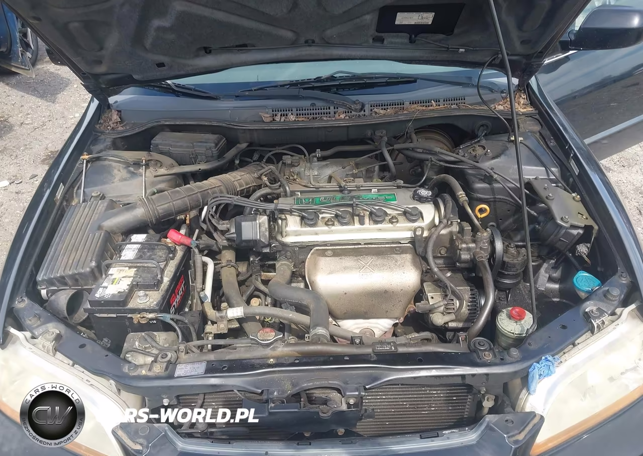 1999 Honda Accord Lx VIN:JHMCG6656XC006259 - 10