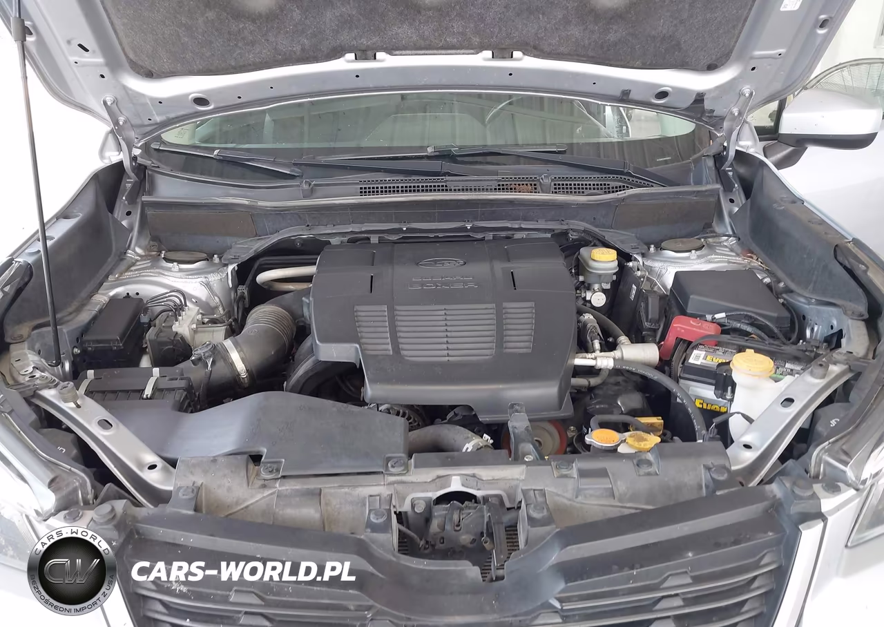 2019 Subaru Forester Premium VIN:JF2SKAEC4KH545457 - 10