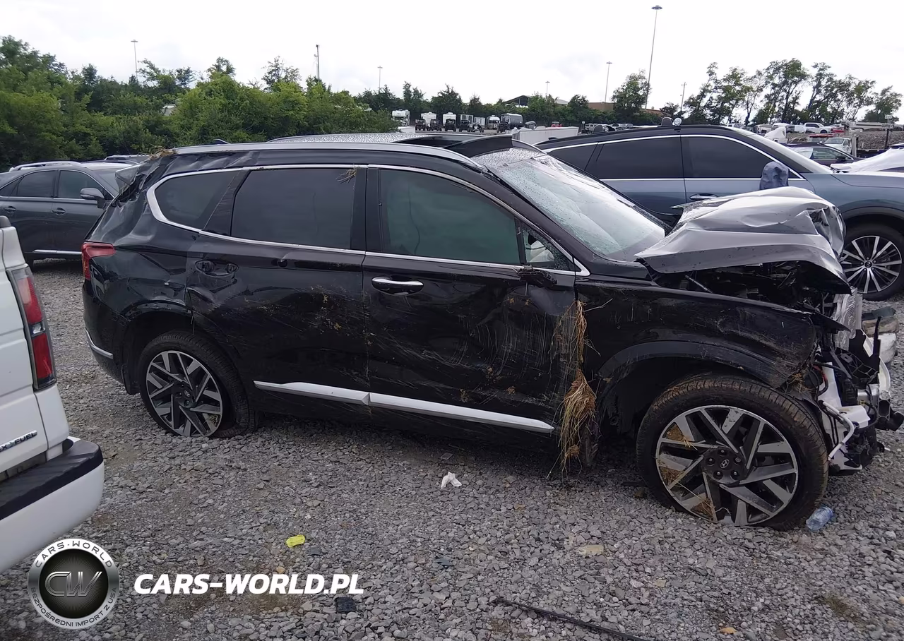 2023 Hyundai Santa Fe Calligraphy VIN:5NMS54ALXPH603493 - 13
