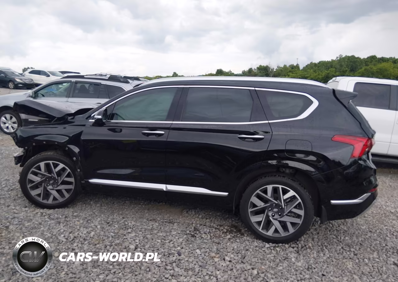 2023 Hyundai Santa Fe Calligraphy VIN:5NMS54ALXPH603493 - 14