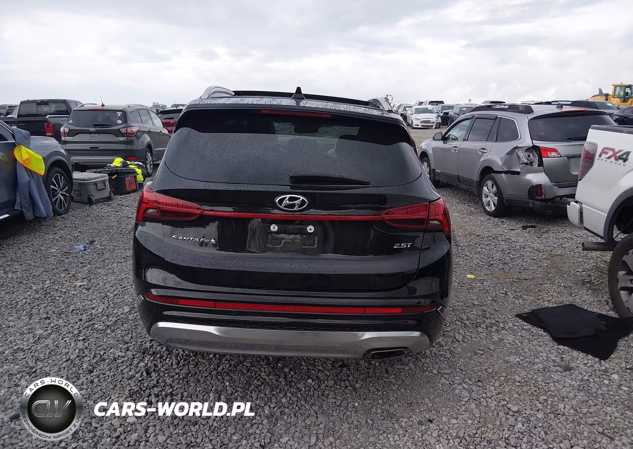 2023 Hyundai Santa Fe Calligraphy VIN:5NMS54ALXPH603493 - 16