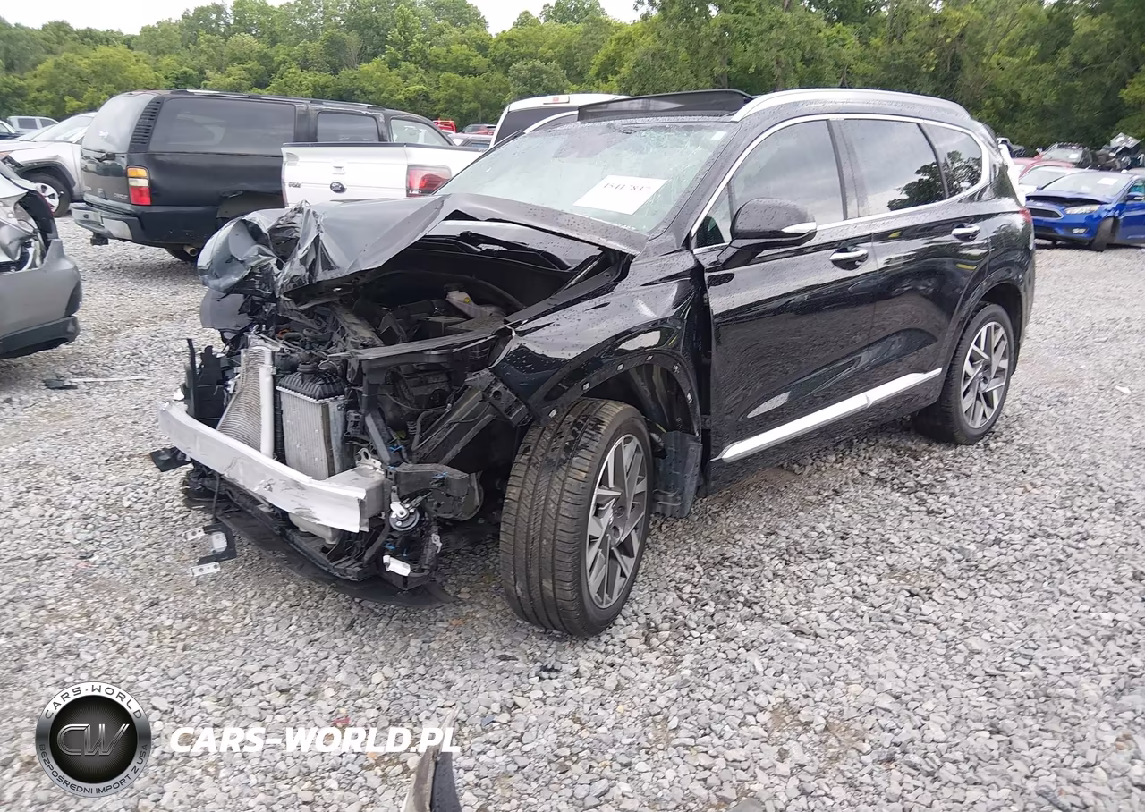 2023 Hyundai Santa Fe Calligraphy VIN:5NMS54ALXPH603493 - 2