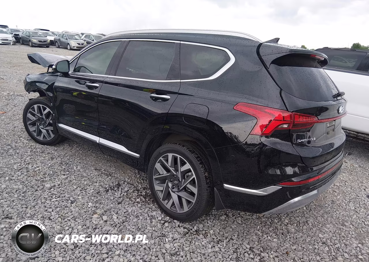 2023 Hyundai Santa Fe Calligraphy VIN:5NMS54ALXPH603493 - 3