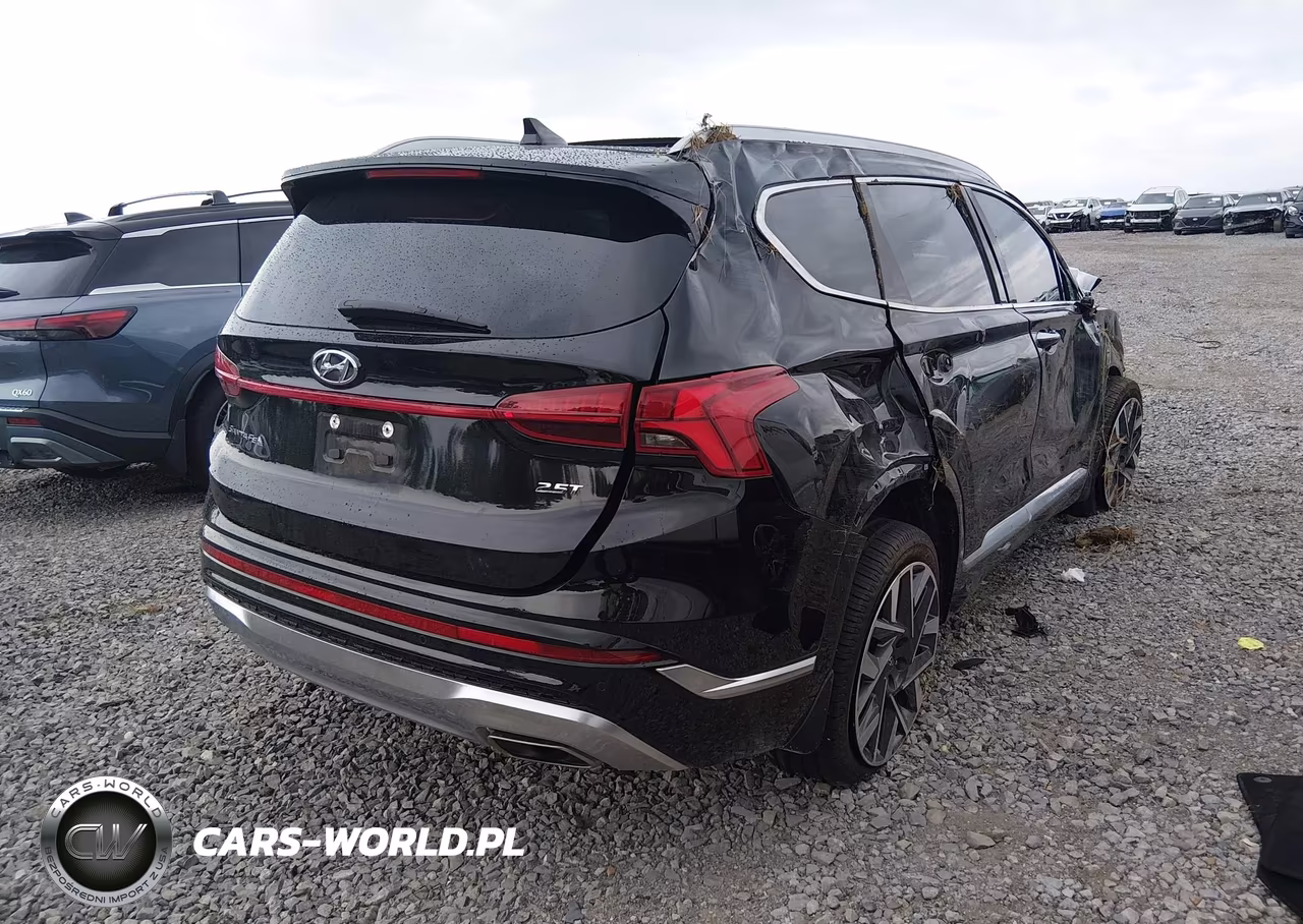 2023 Hyundai Santa Fe Calligraphy VIN:5NMS54ALXPH603493 - 4