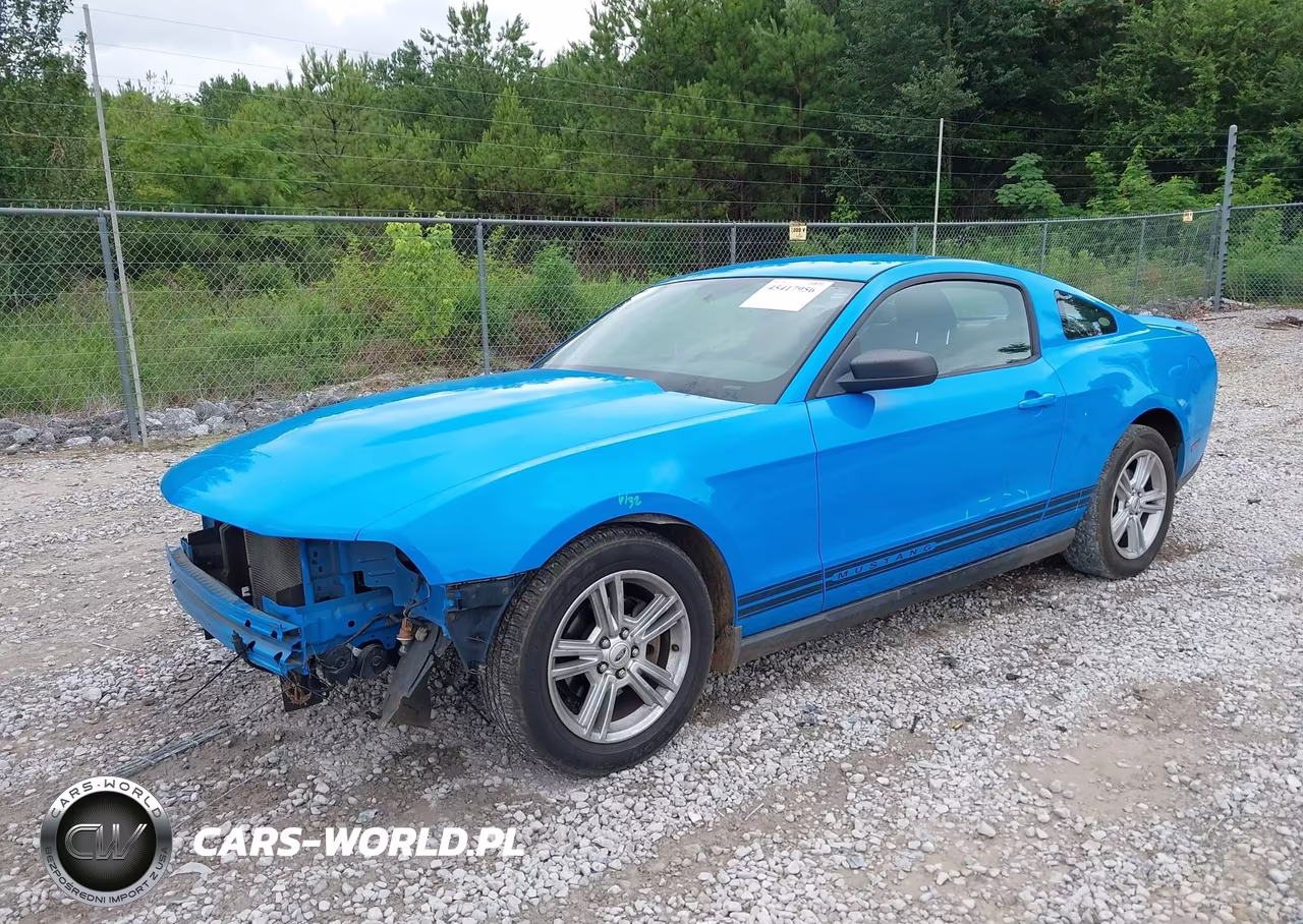 2010 Ford Mustang V6-V6 Premium VIN:1ZVBP8AN4A5156007 - 2