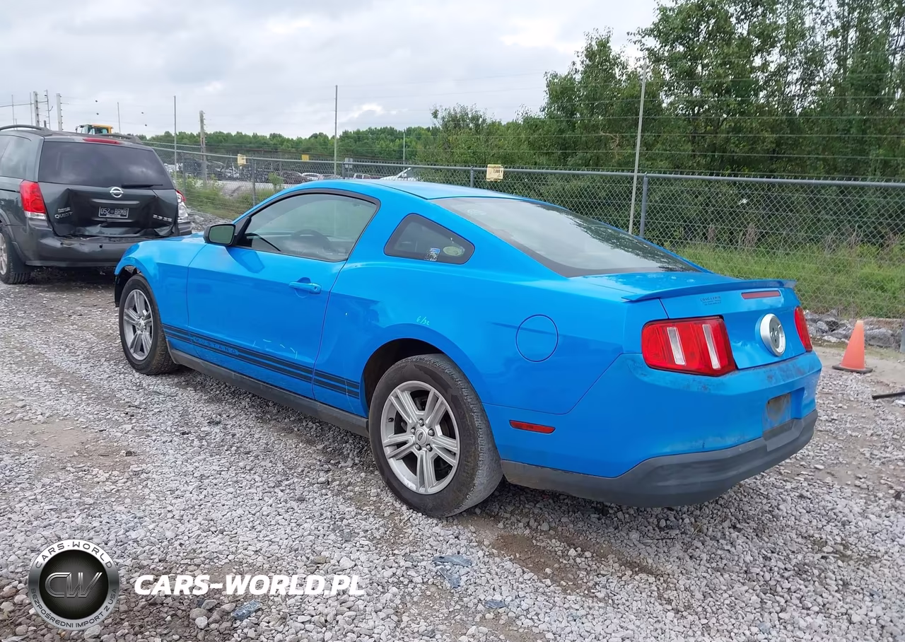 2010 Ford Mustang V6-V6 Premium VIN:1ZVBP8AN4A5156007 - 3