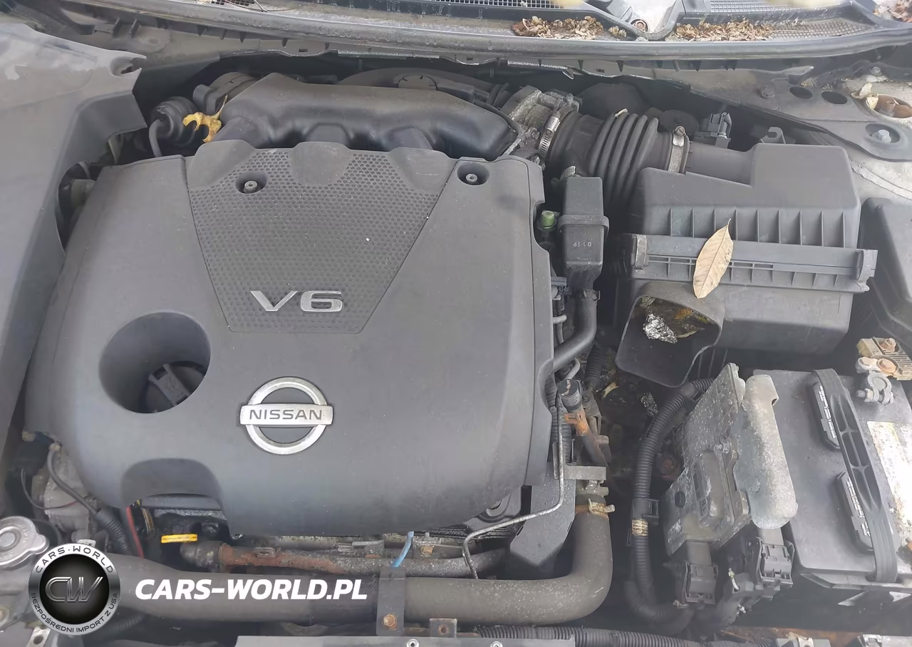 2010 Nissan Maxima 3.5 Sv VIN:1N4AA5AP5AC844955 - 10