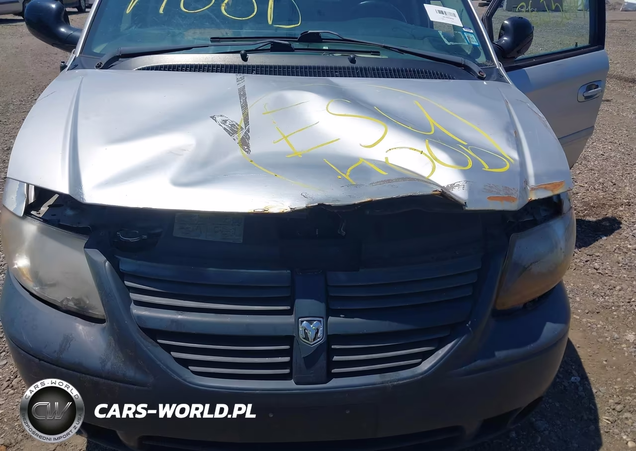2007 Dodge Grand Caravan Sxt VIN:2D4GP44L67R318813 - 10