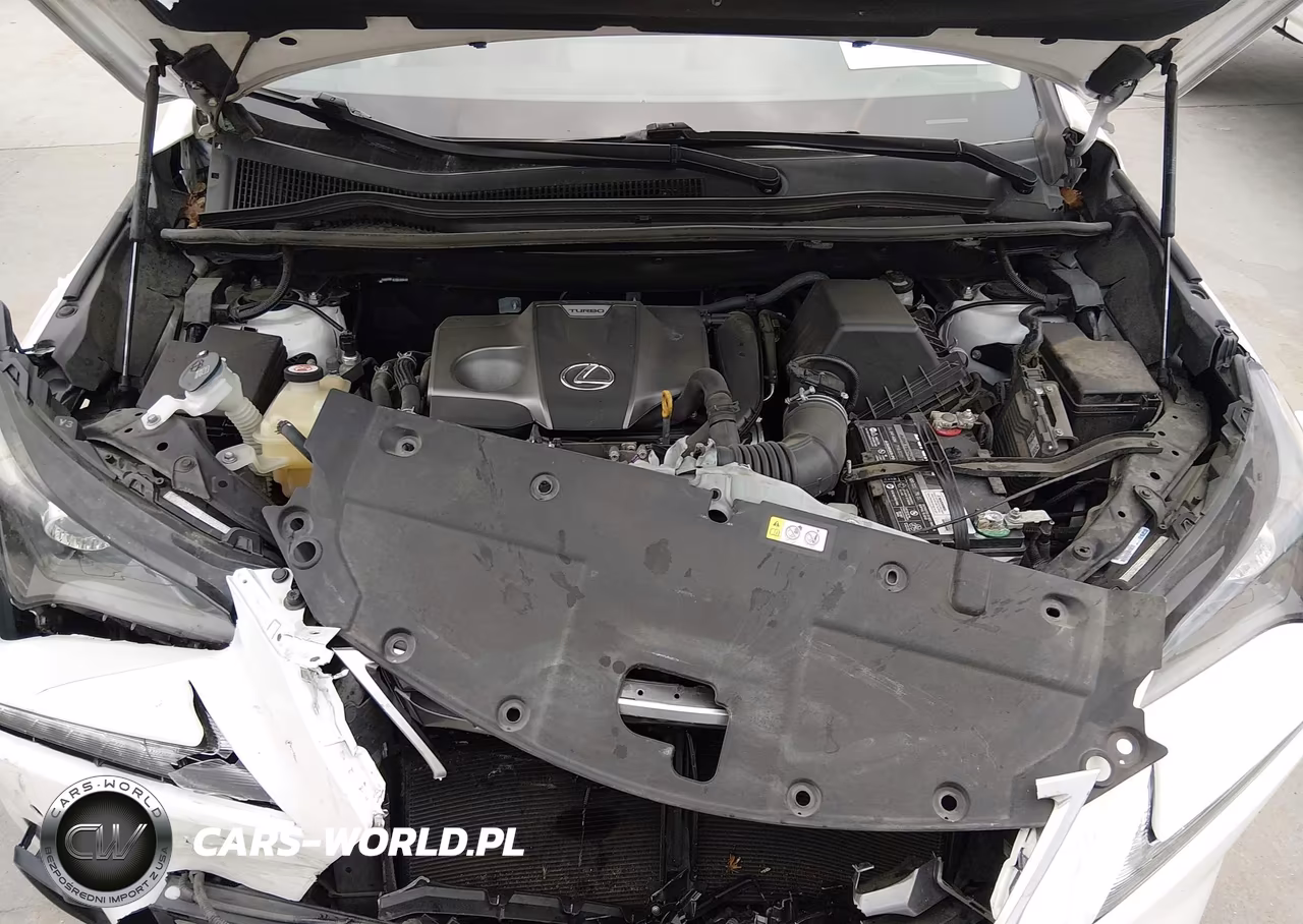 2019 Lexus Nx 300 VIN:JTJYARBZ6K2151655 - 10