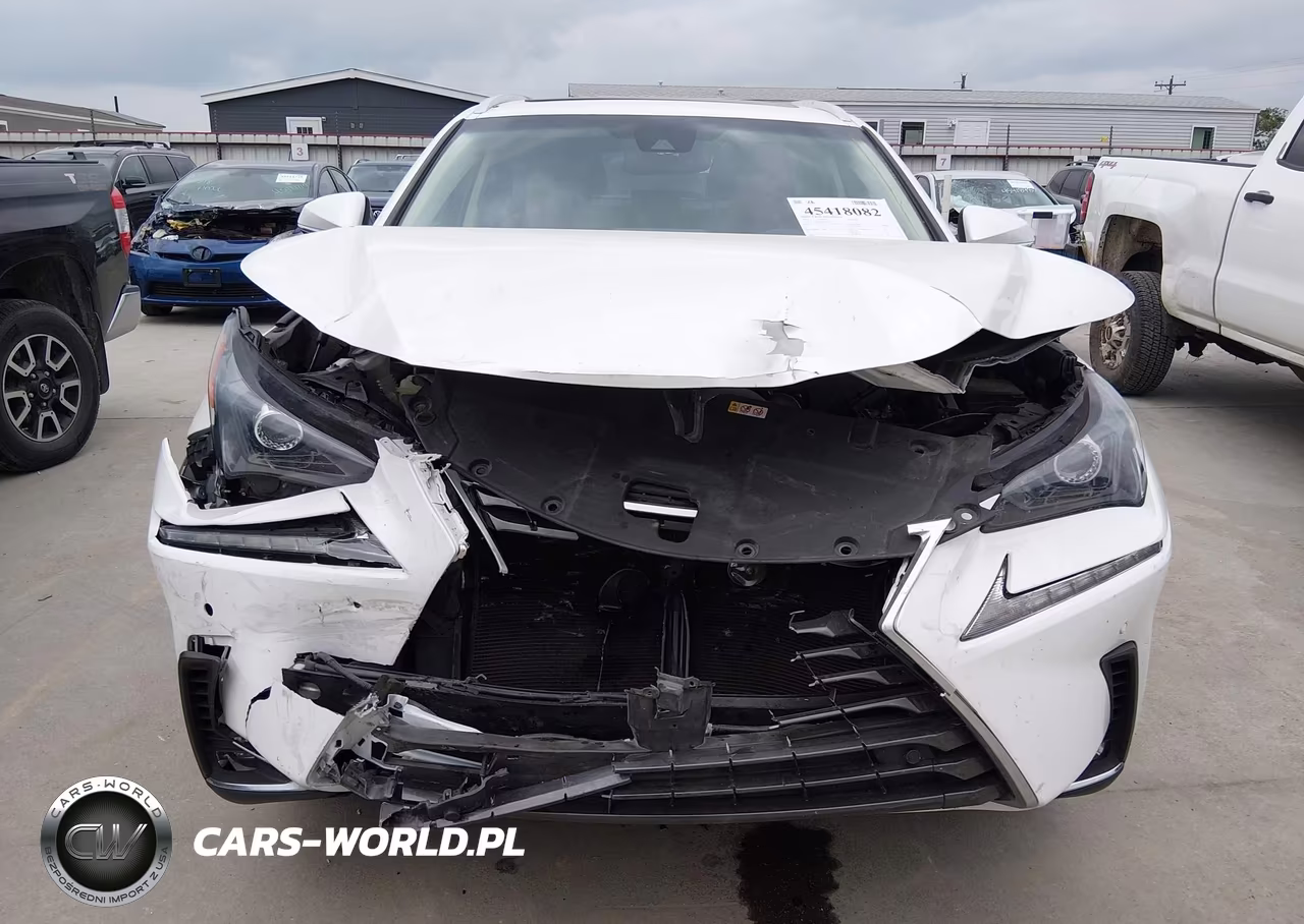 2019 Lexus Nx 300 VIN:JTJYARBZ6K2151655 - 12