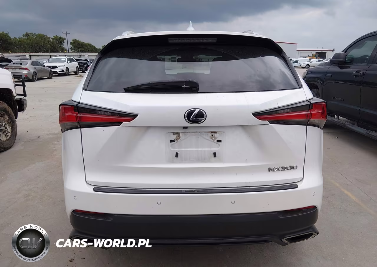 2019 Lexus Nx 300 VIN:JTJYARBZ6K2151655 - 16