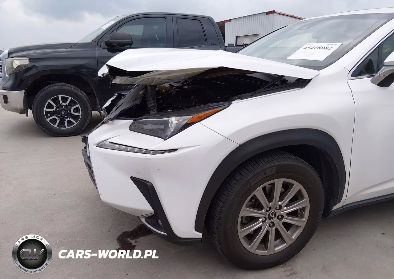 2019 Lexus Nx 300 VIN:JTJYARBZ6K2151655 - 17