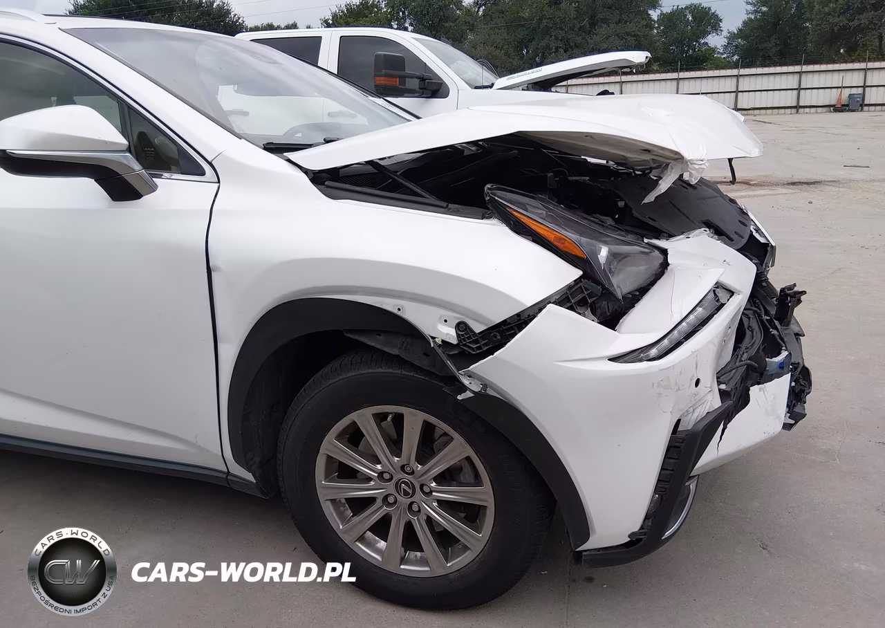 2019 Lexus Nx 300 VIN:JTJYARBZ6K2151655 - 18