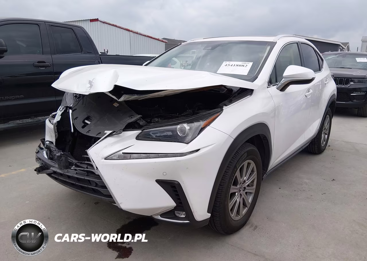 2019 Lexus Nx 300 VIN:JTJYARBZ6K2151655 - 2