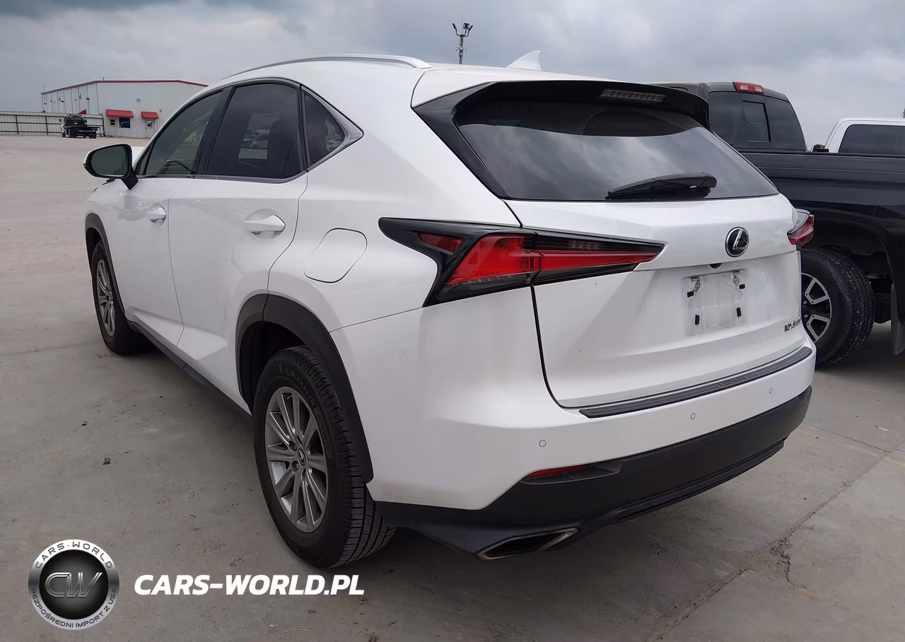 2019 Lexus Nx 300 VIN:JTJYARBZ6K2151655 - 3