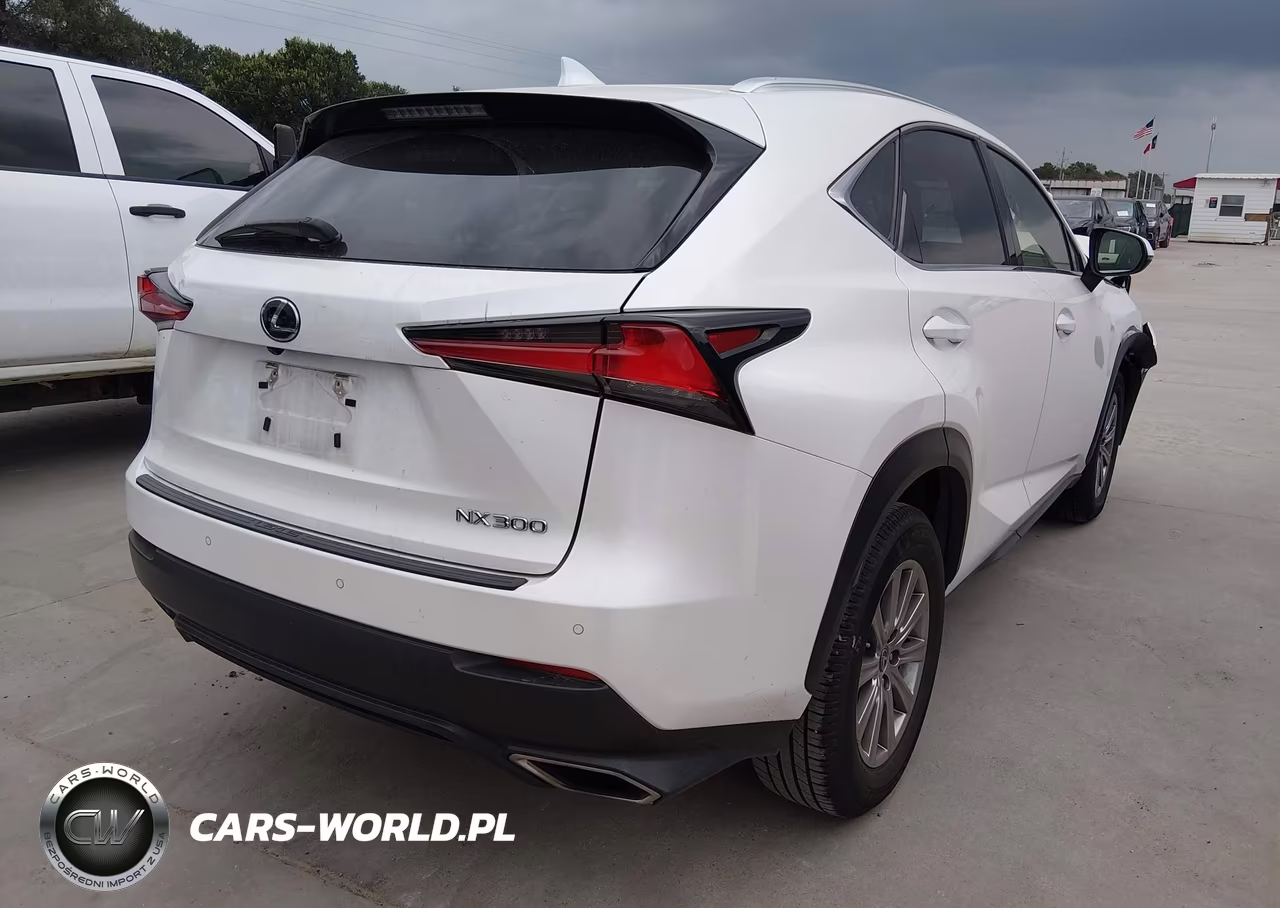 2019 Lexus Nx 300 VIN:JTJYARBZ6K2151655 - 4