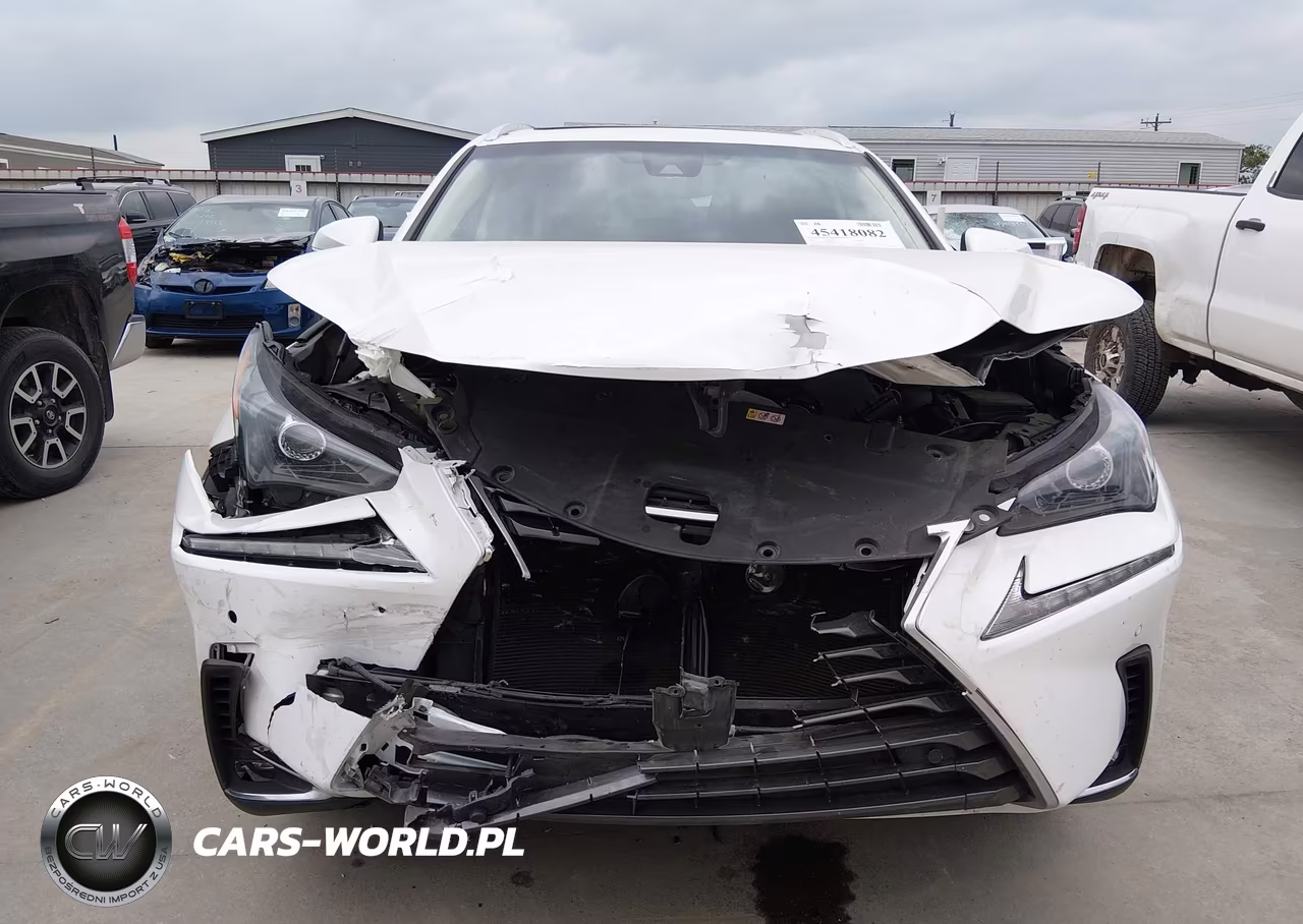 2019 Lexus Nx 300 VIN:JTJYARBZ6K2151655 - 6