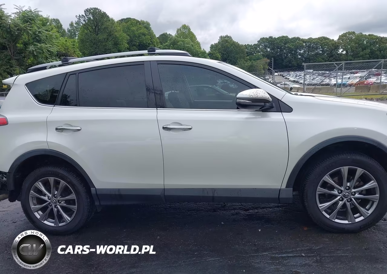2017 Toyota Rav4 Limited VIN:JTMYFREV6HD107116 - 13