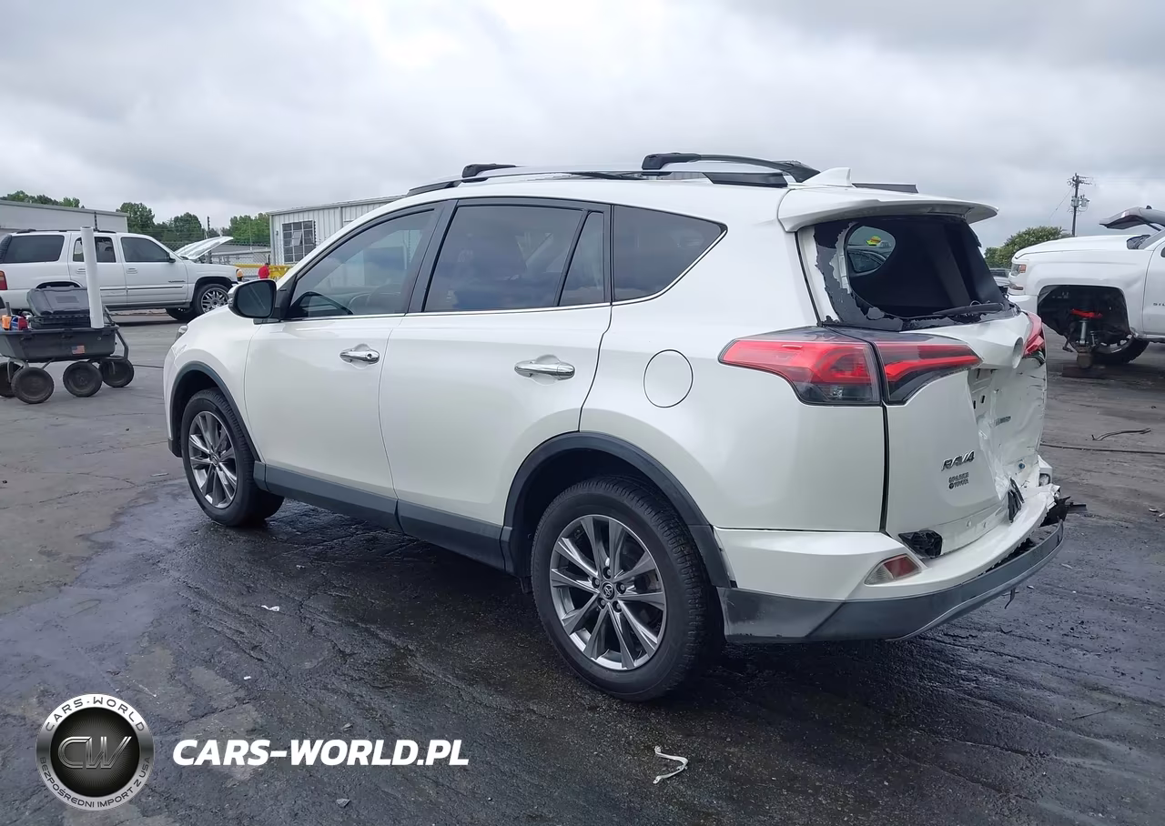 2017 Toyota Rav4 Limited VIN:JTMYFREV6HD107116 - 3